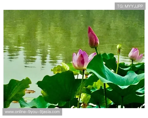 开云IOS聚焦汇丰女子世锦赛第三轮刘艳T20刘宇婕红字冲刺爆冷前瞻首发分析 开云IOS聚焦汇丰女子世锦赛第三轮刘艳T20刘宇婕红字冲刺爆冷前瞻首发分析